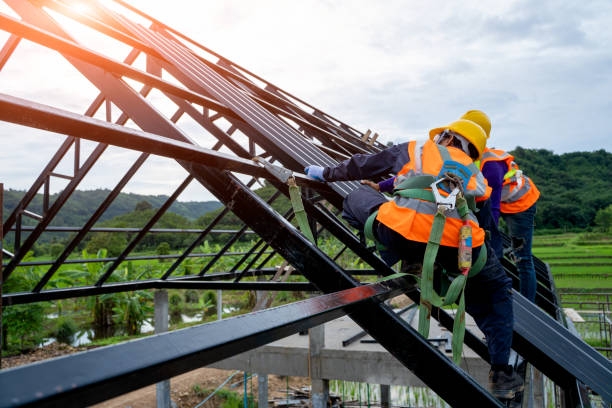 Best Roof Repair Services  in Hart, MI