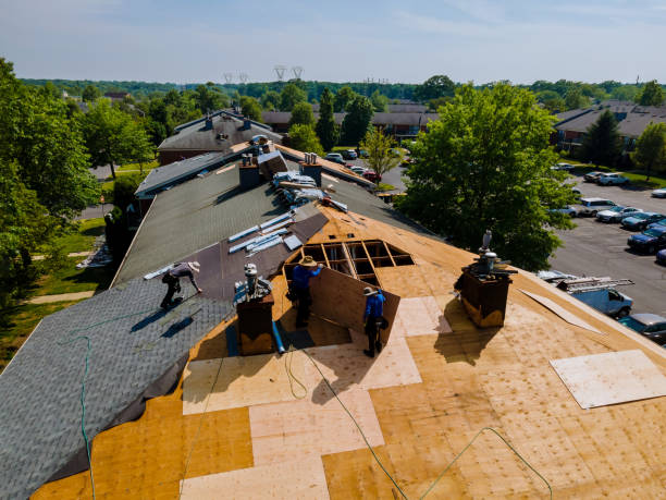 Best Flat Roof Repair Services  in Hart, MI