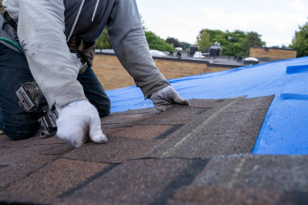 Best Emergency Roof Repair  in Hart, MI