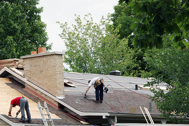 Best Shingle Roofing Installation  in Hart, MI