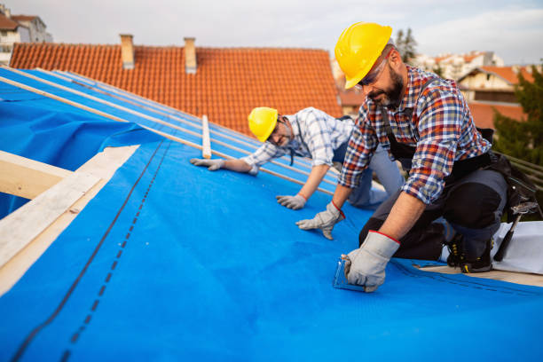 Best Local Roofing Companies  in Hart, MI
