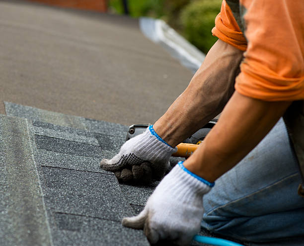 Best Storm Damage Roof Repair  in Hart, MI