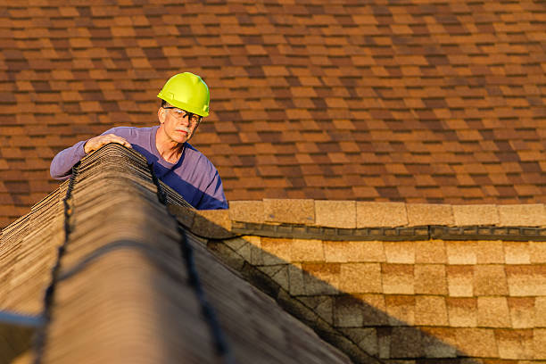 Best Roof Repair Specialists  in Hart, MI
