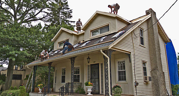 Best Local Roofing Companies  in Hart, MI