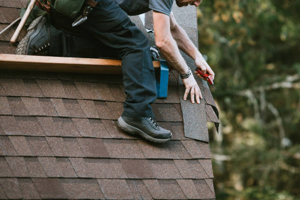 Best Residential Roofing Contractor  in Hart, MI